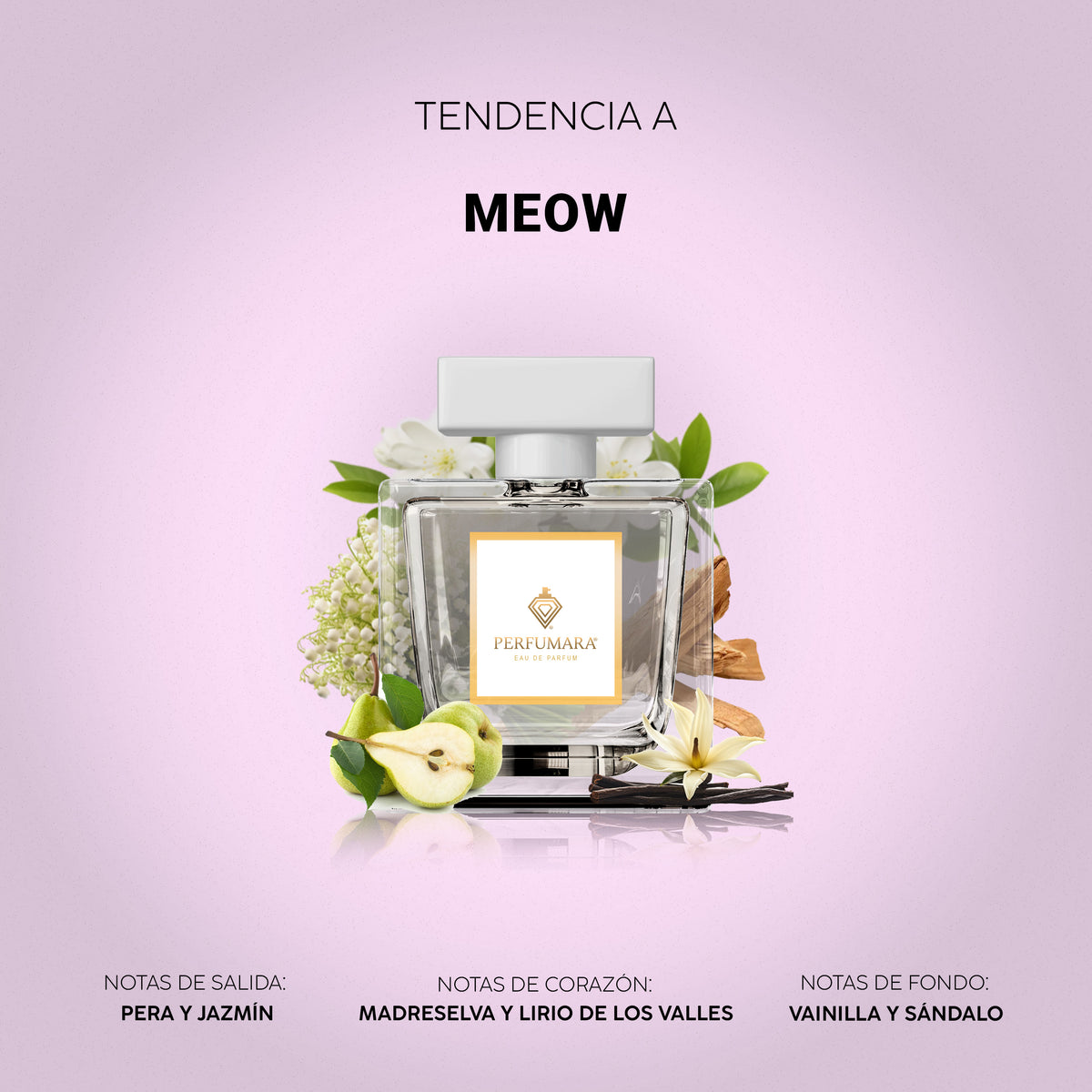 Tendencia a Meow