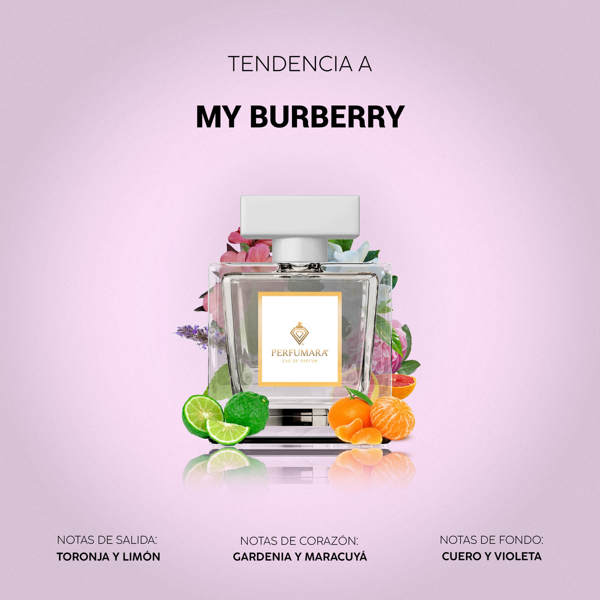 Tendencia a My Burberry