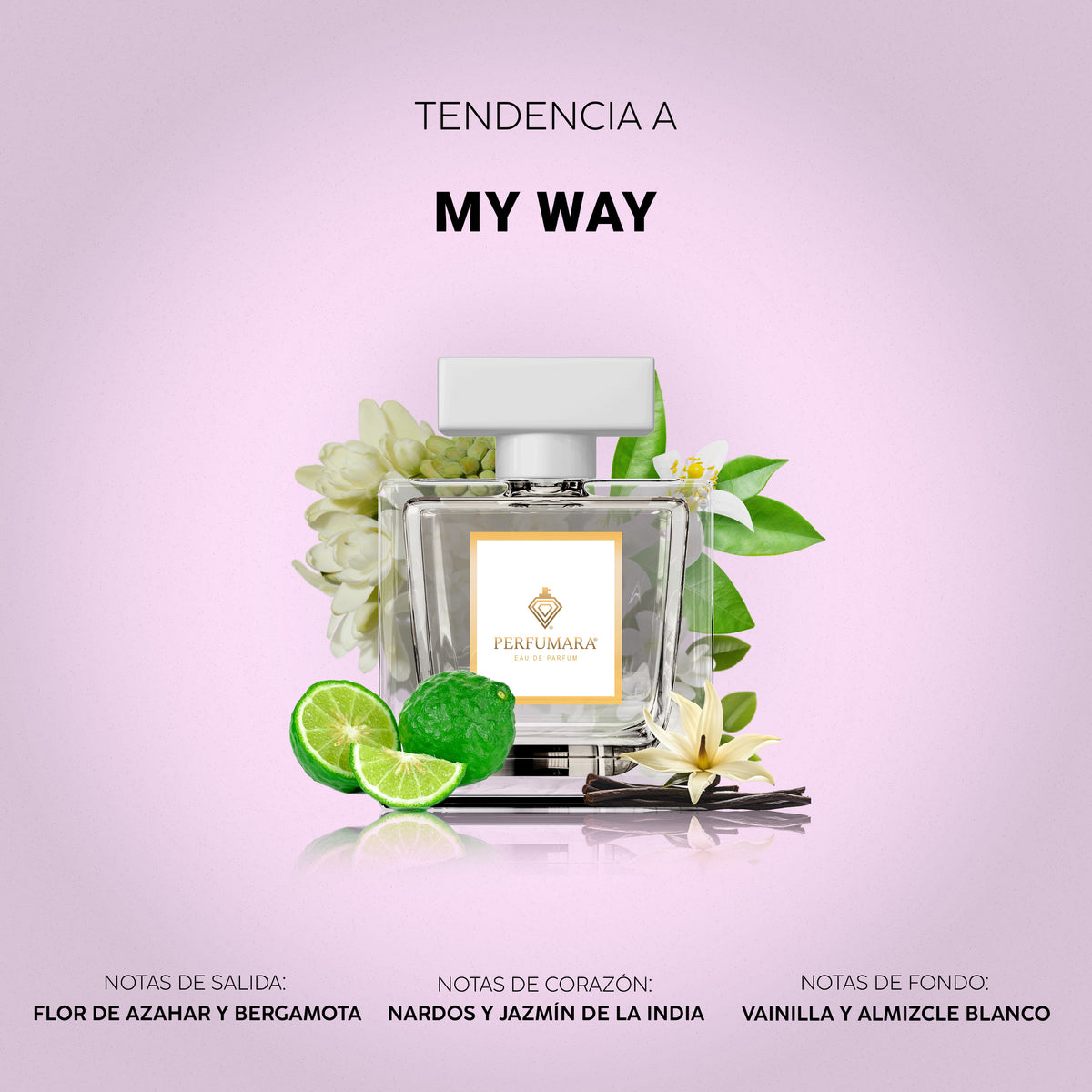 Tendencia a My Way
