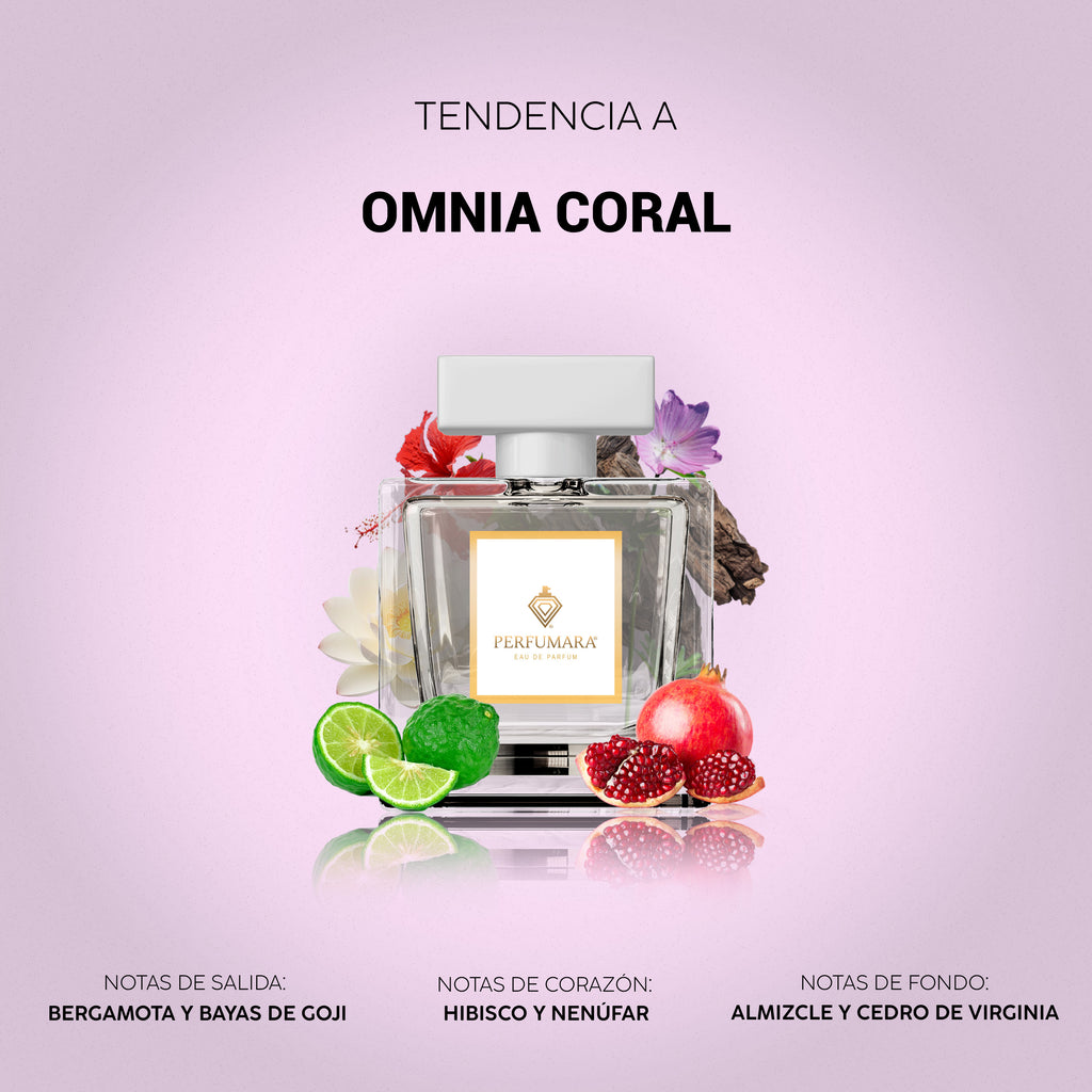 Tendencia a Omnia Coral