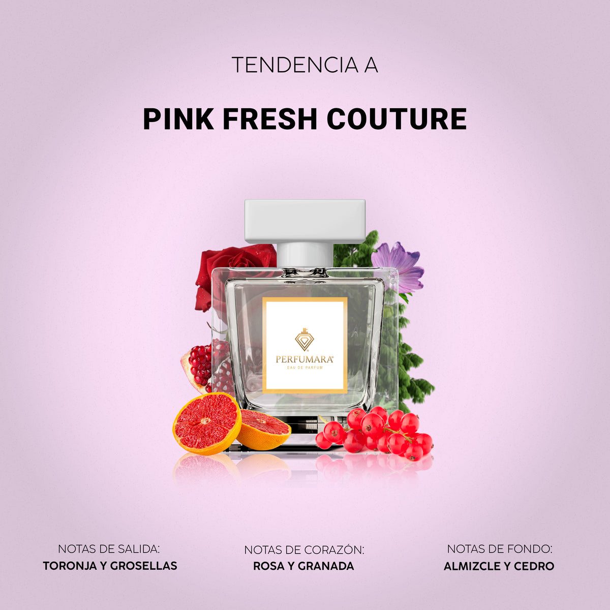 Tendencia a Pink Fresh Couture