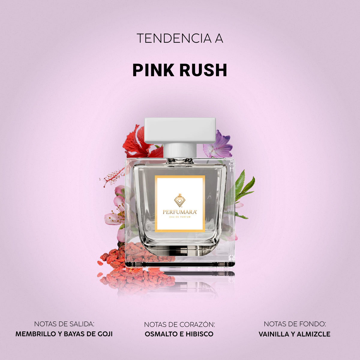 Tendencia a Pink Rush