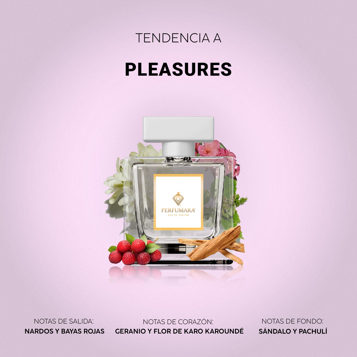 Tendencia a Pleasures