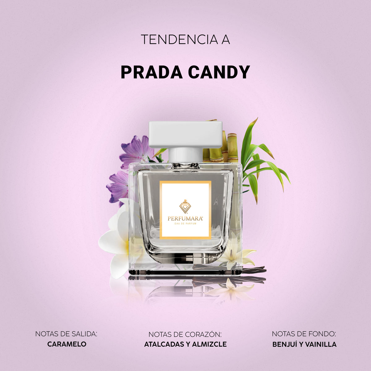 Tendencia a Prada Candy