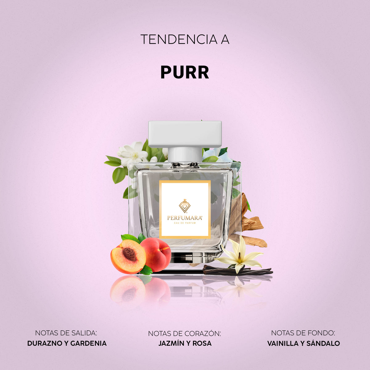 Tendencia a Purr
