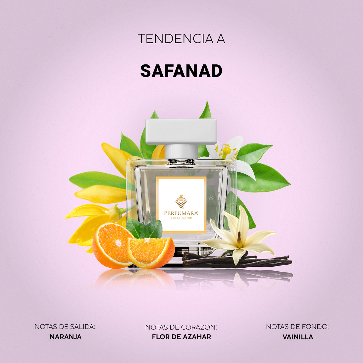 Tendencia a Safanad