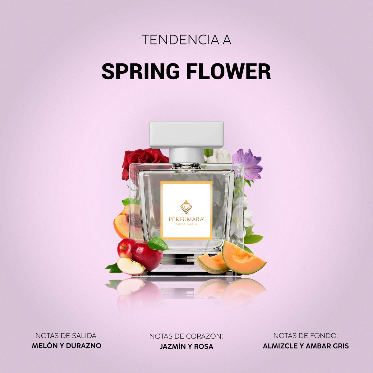 Tendencia a Spring Flower