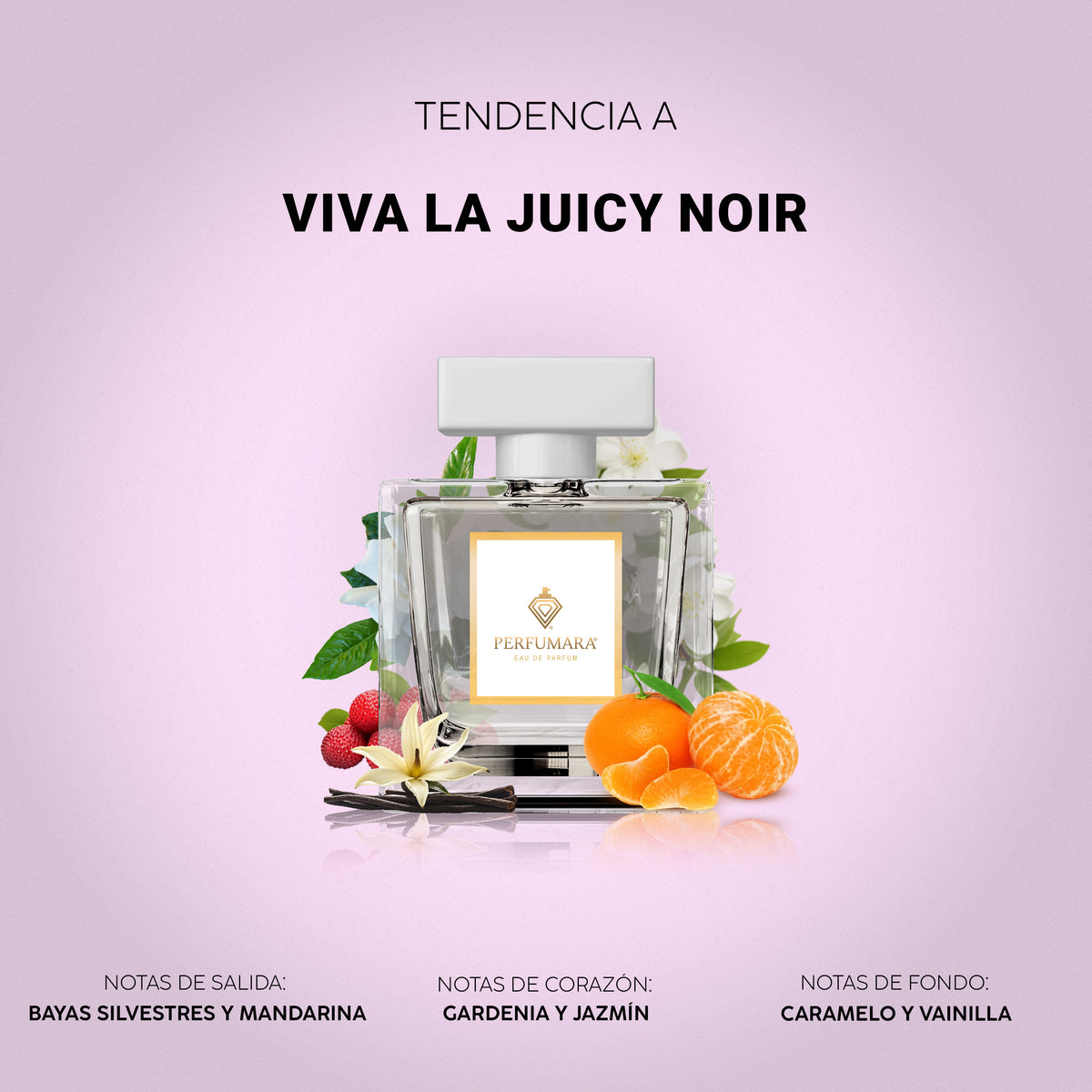 Tendencia a Viva La Juicy Noir