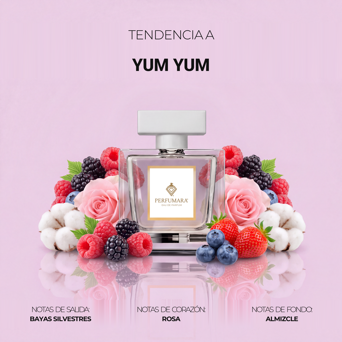 Tendencia a DYum Yum