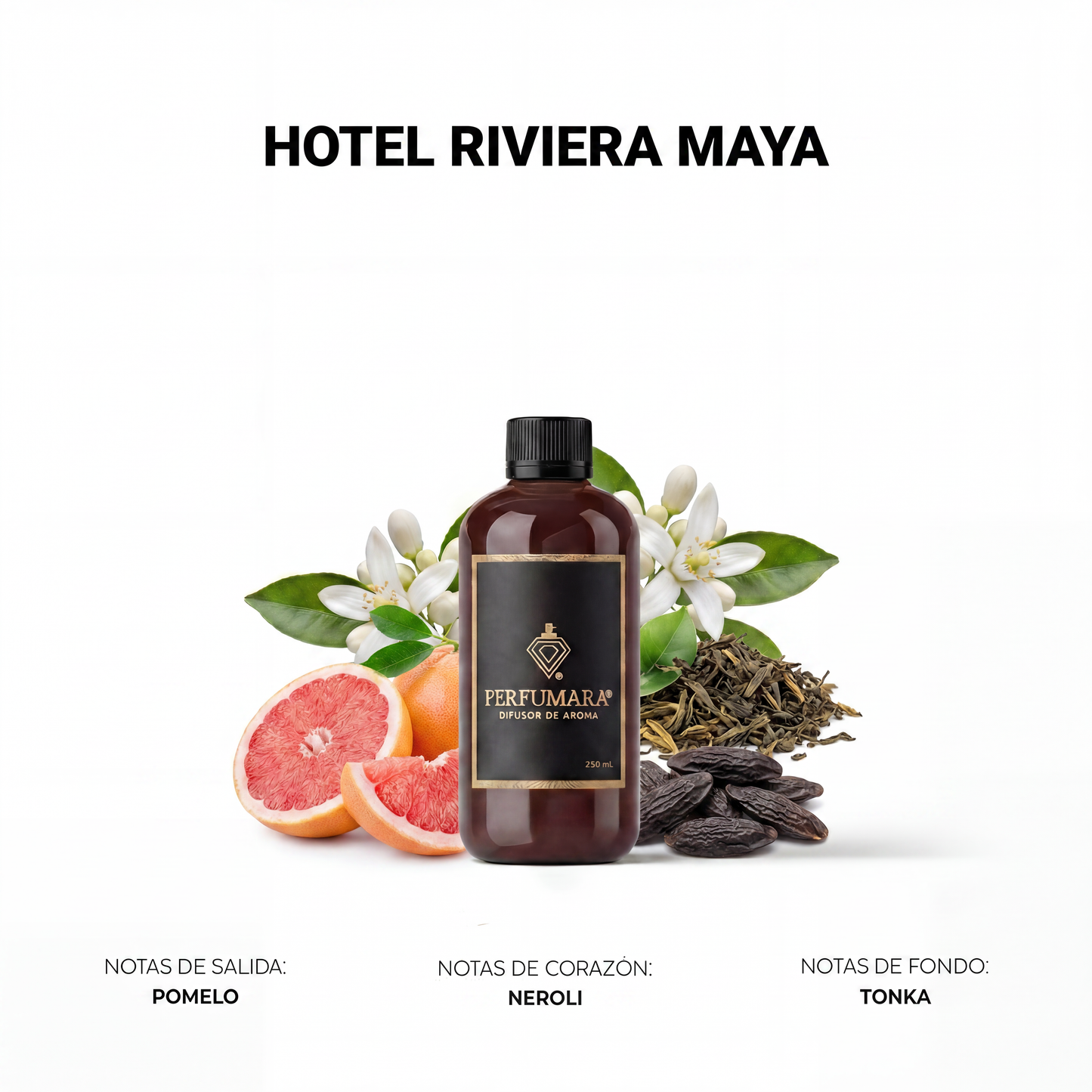 Riviera Maya (Inspirado en Hotel Vidanta)