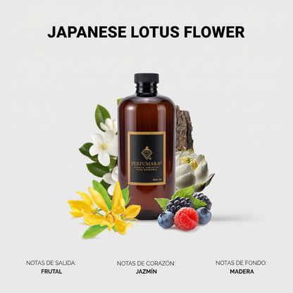 Japanese Lotus Flower