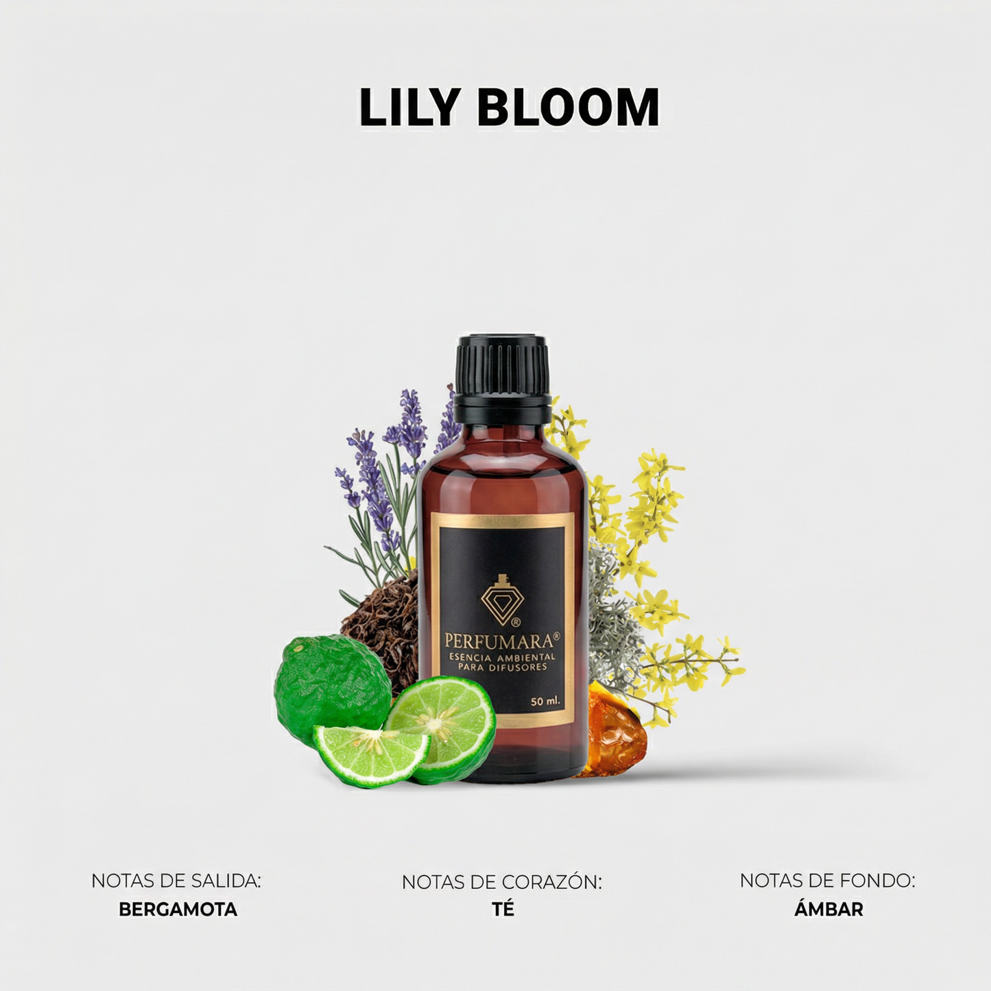 Lily Bloom