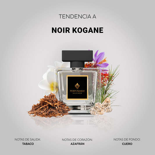 Tendencia a CNoir Kogane