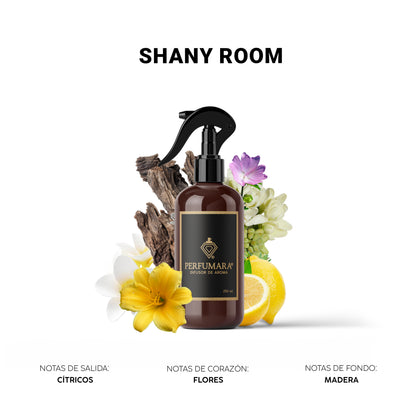 Shany Room (FRESCO)