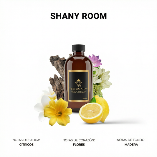 Shany Room