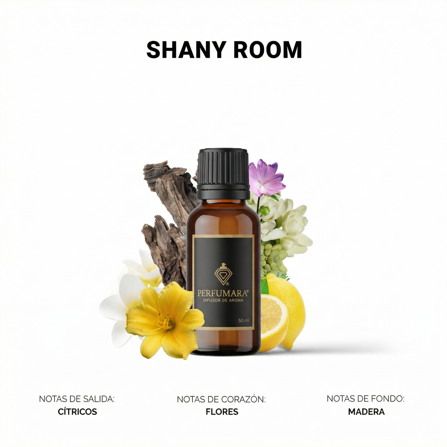Shany Room