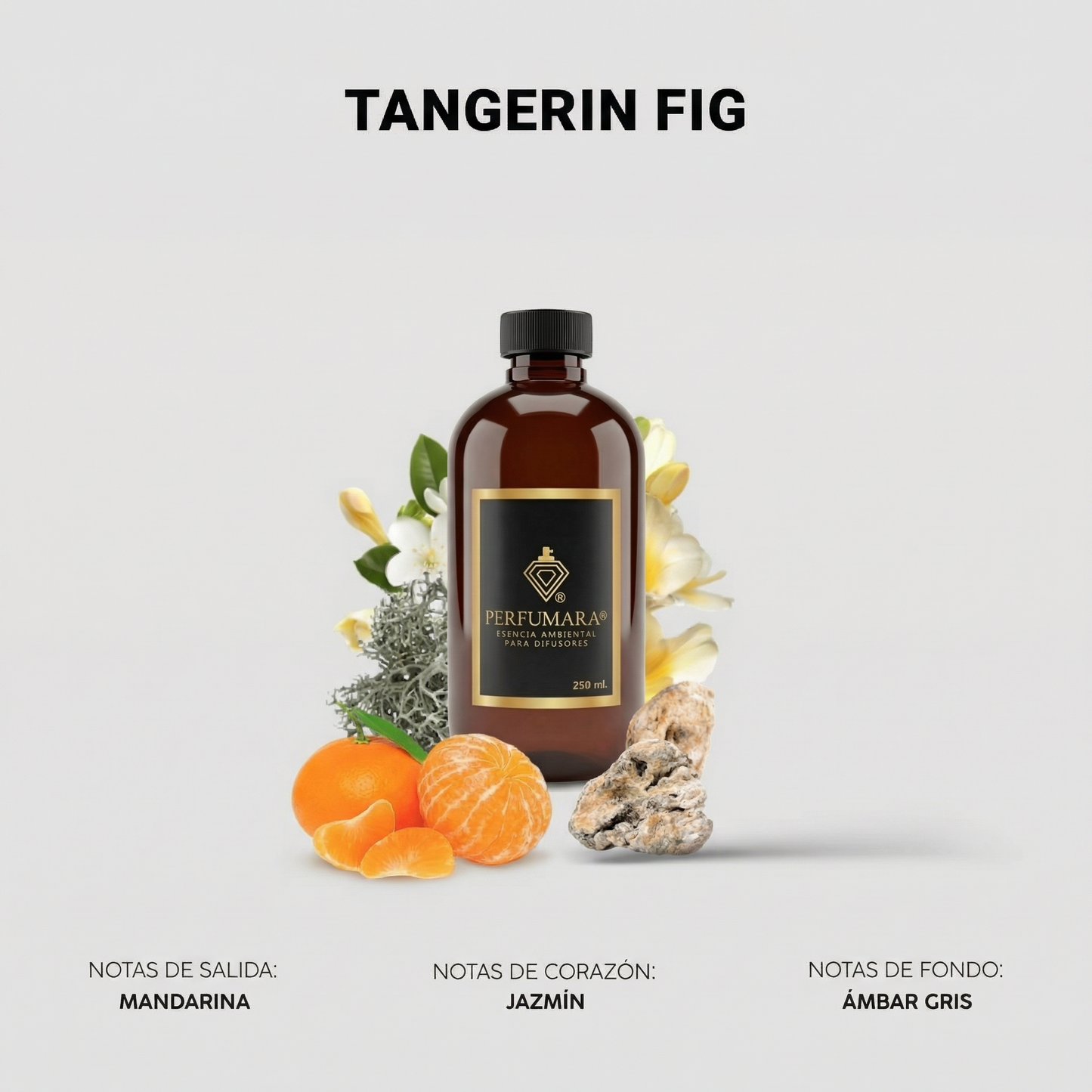 Tangerin Fig (Inspirado en Innova Sp)