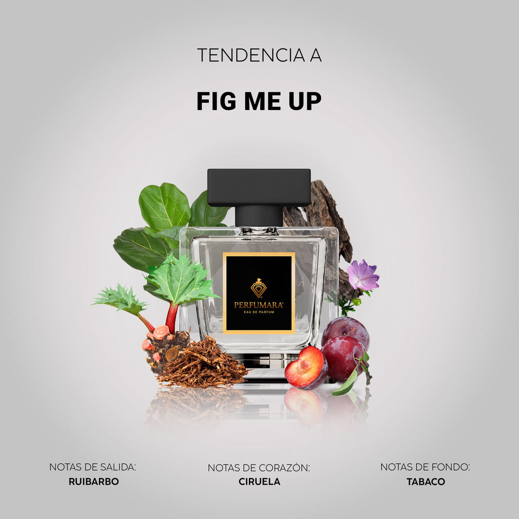 Tendencia a Fig Me Up