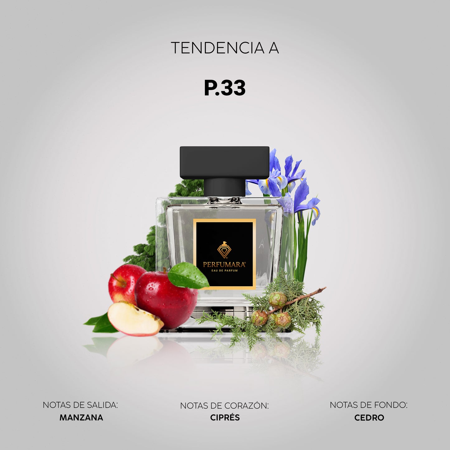 Tendencia a P.33