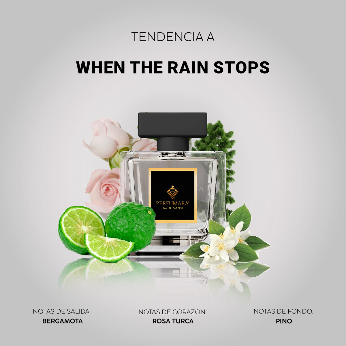 Tendencia a When the Rain Stops