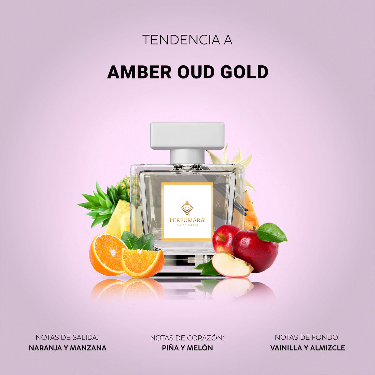 Tendencia a Amber oud gold