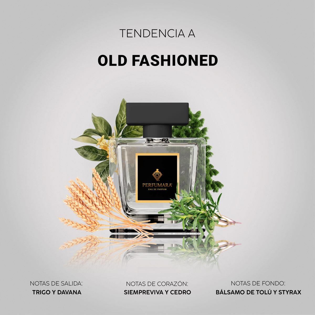 Tendencia a UOLD FASHIONED