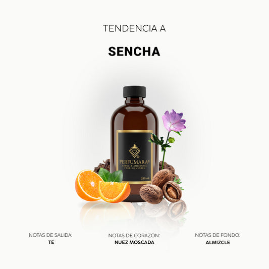 Asencha (Inspirado en tienda Nike)
