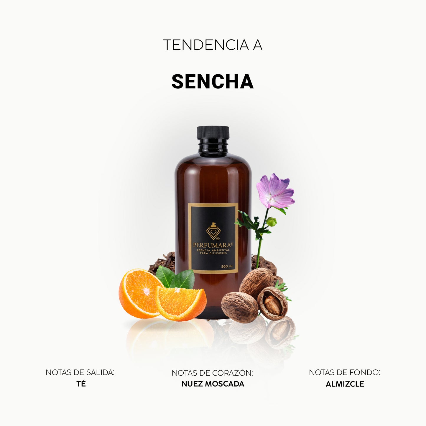 Asencha (Inspirado en tienda Nike)