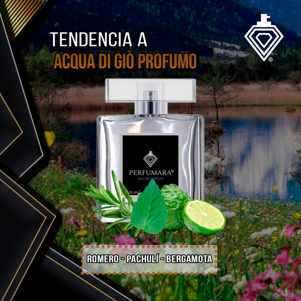Tendencia a CAqua di Giò Profumo