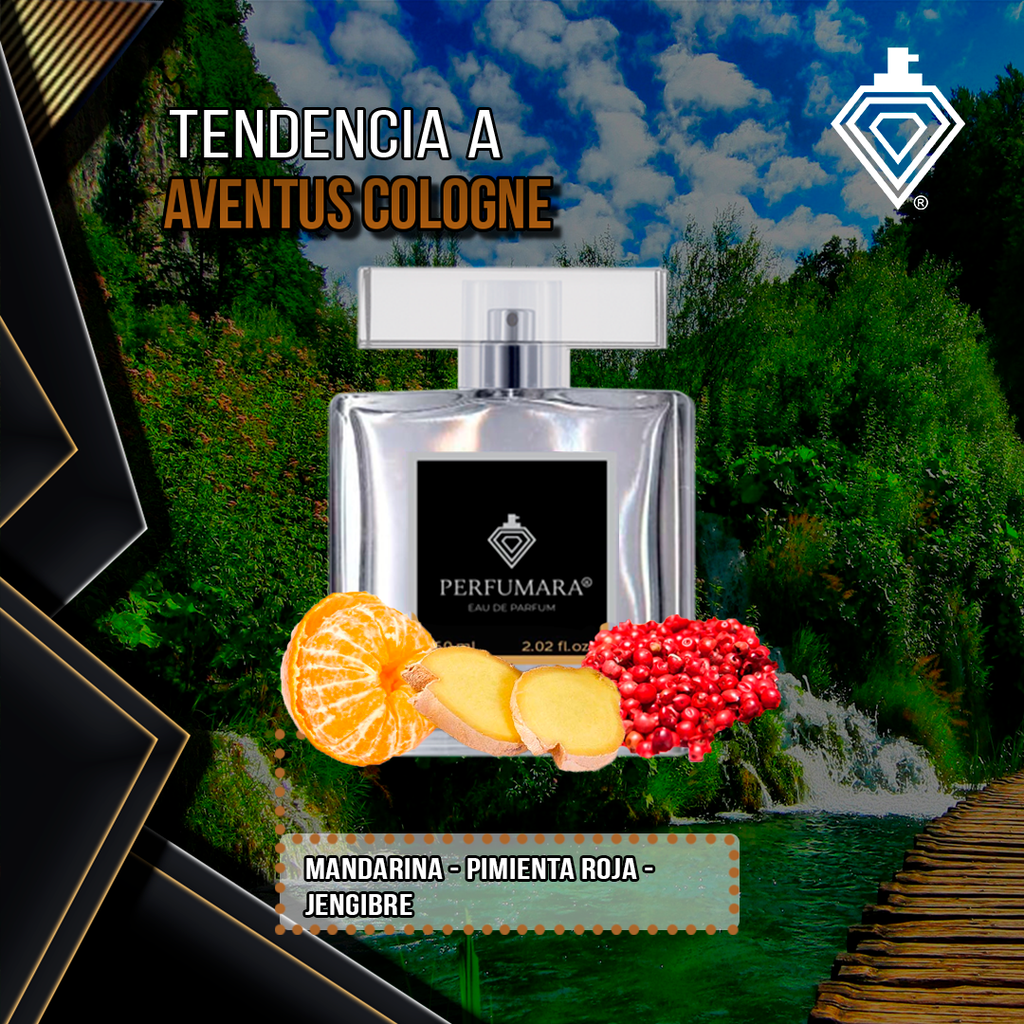 Tendencia a CAventus Cologne