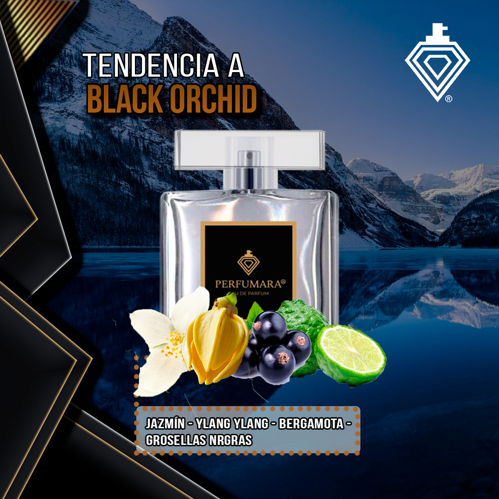 Tendencia a DBlack Orchid