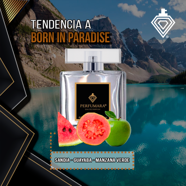 Tendencia a DBorn in Paradise