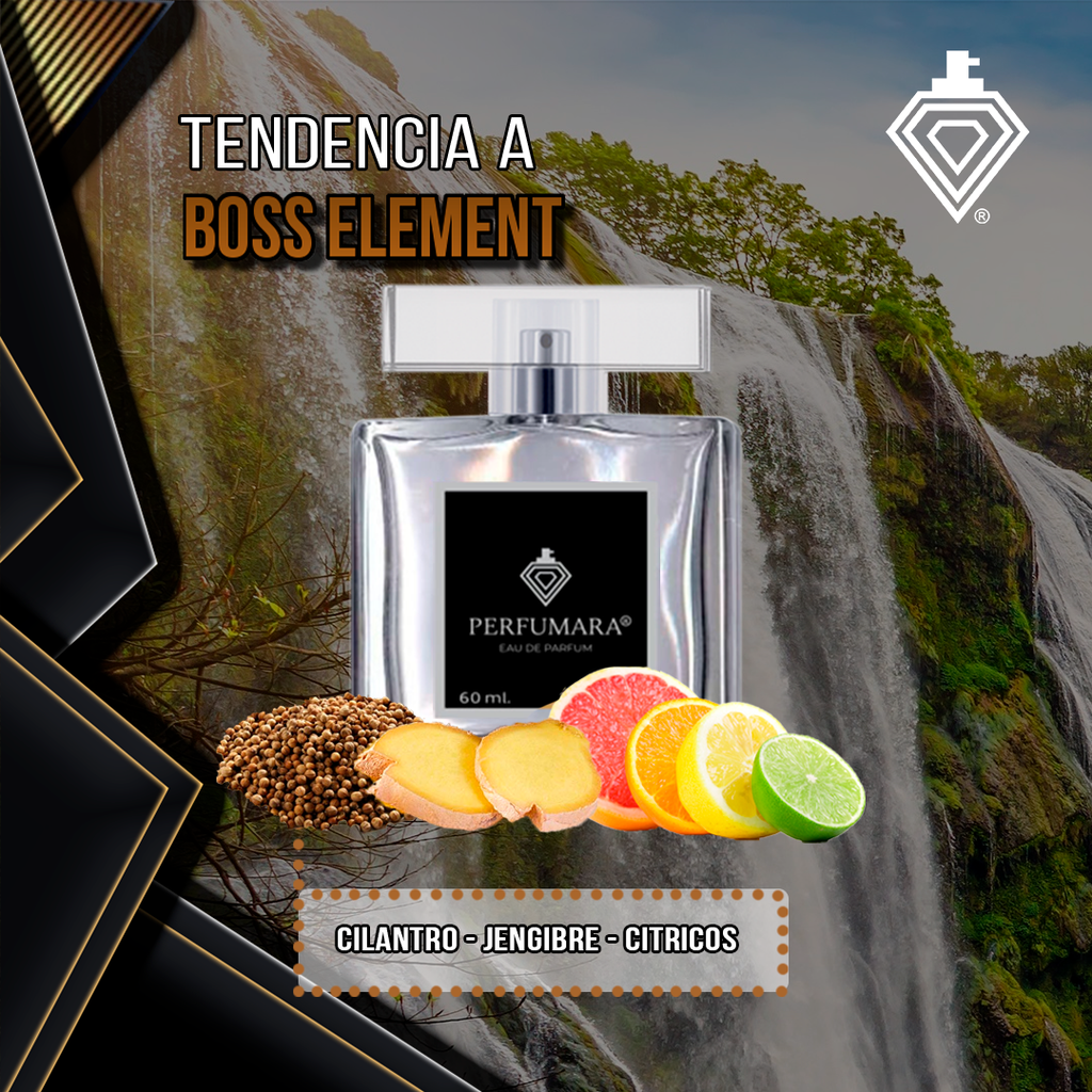 Tendencia a CBoss Element