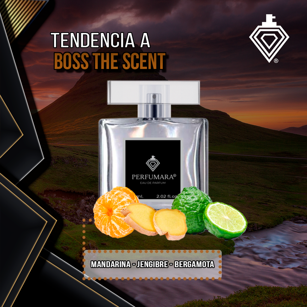 Tendencia a CBoss The Scent