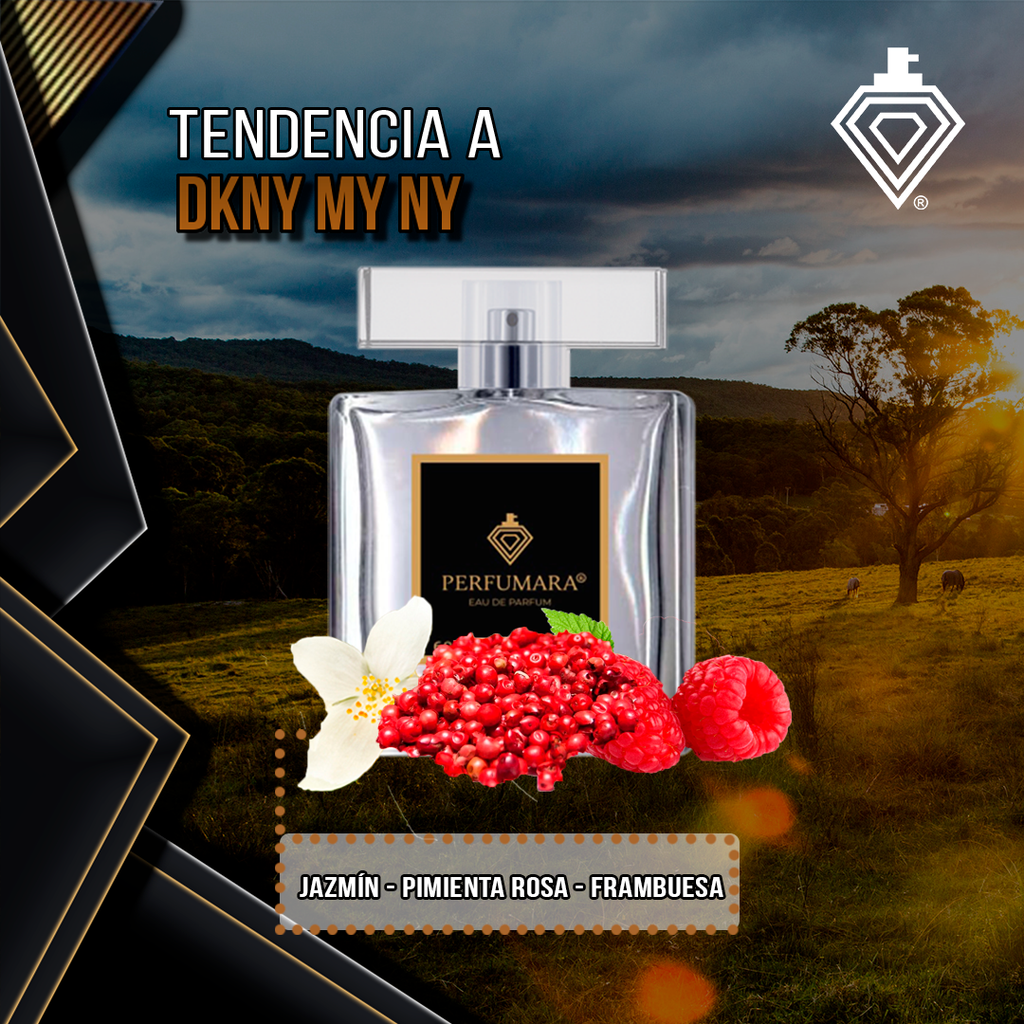 Tendencia a DDKNY My NY