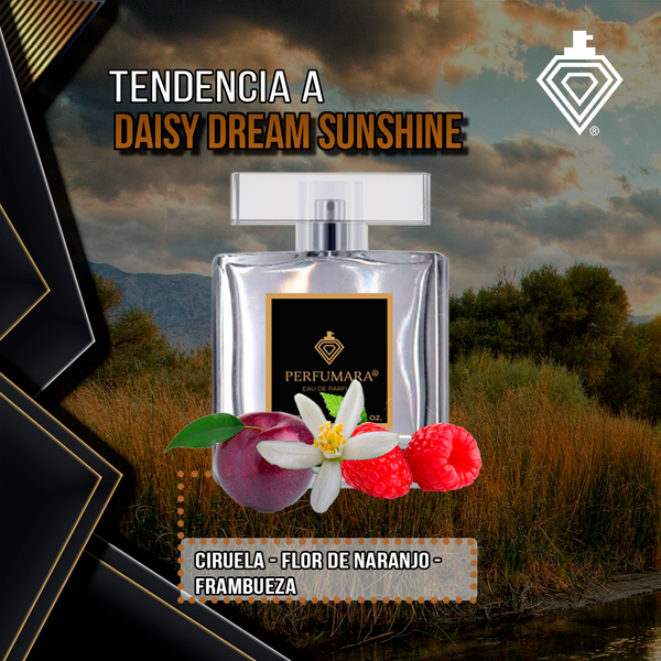Tendencia a Daisy Dream Sunshine