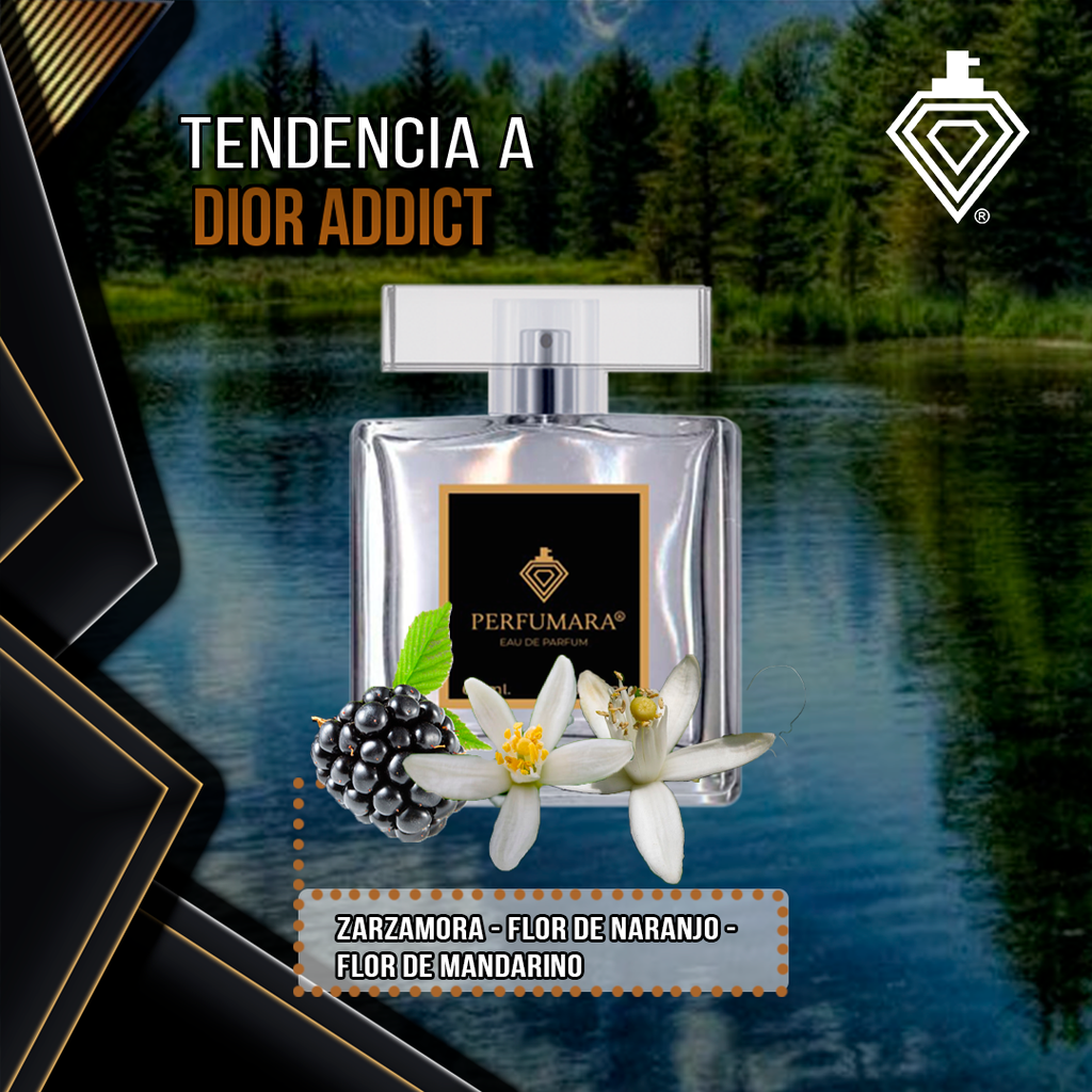 Tendencia a DDior Addict