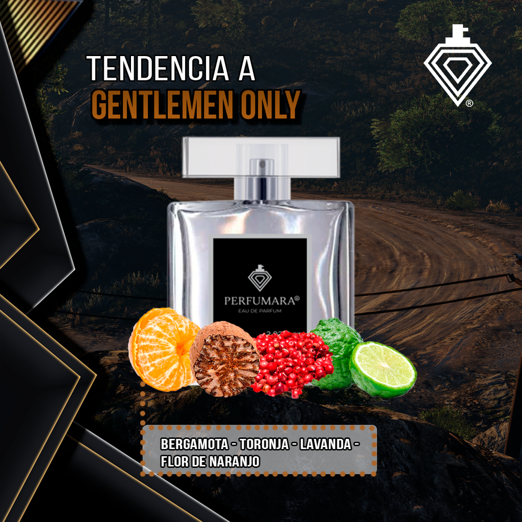Tendencia a CGentlemen Only