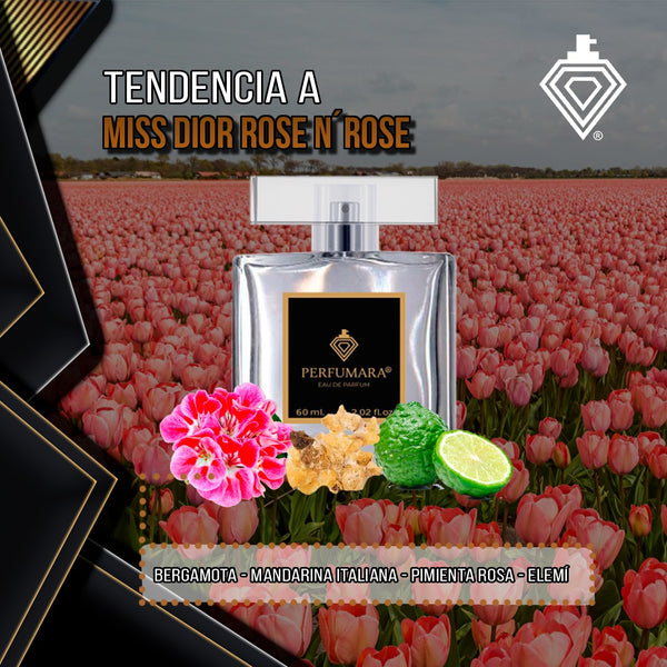 Tendencia a DMiss Dior Rose N'Roses