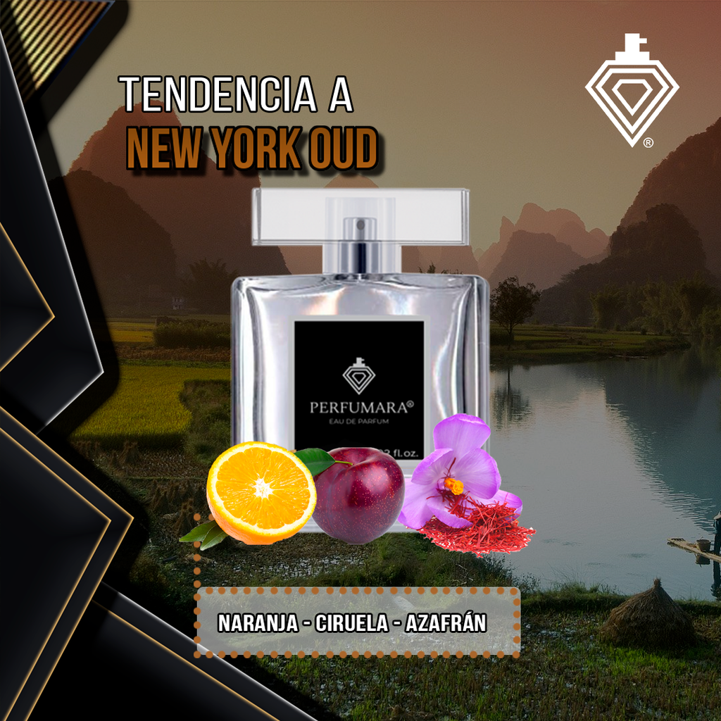 Tendencia a UNew York Oud