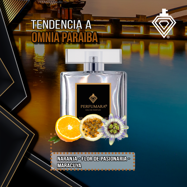 Tendencia a DOmnia Paraiba