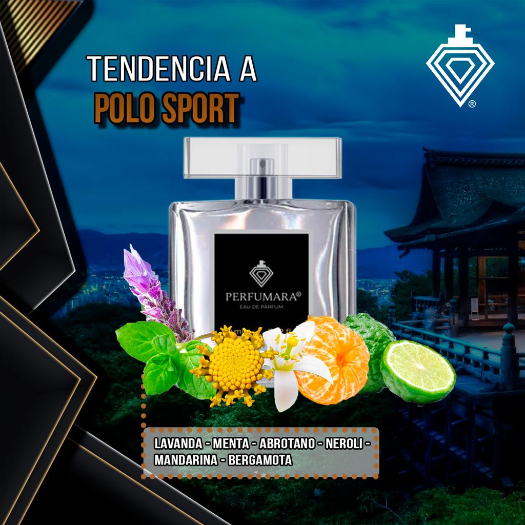 Tendencia a CPolo Sport