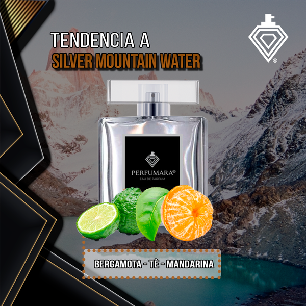 Tendencia a USilver Mountain Water