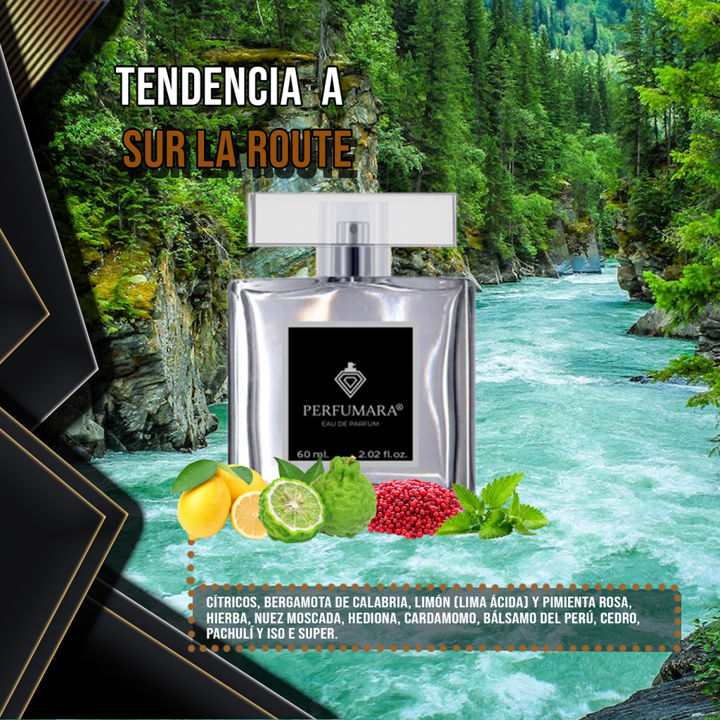 Tendencia a CSur la Route