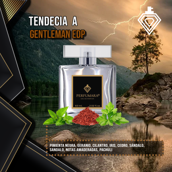 Tendencia a CGentleman edp boisee