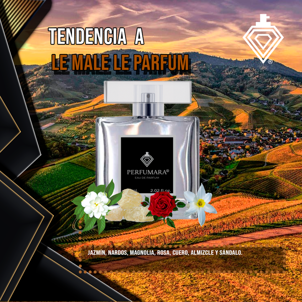 Tendencia a CLe Male Le Parfum