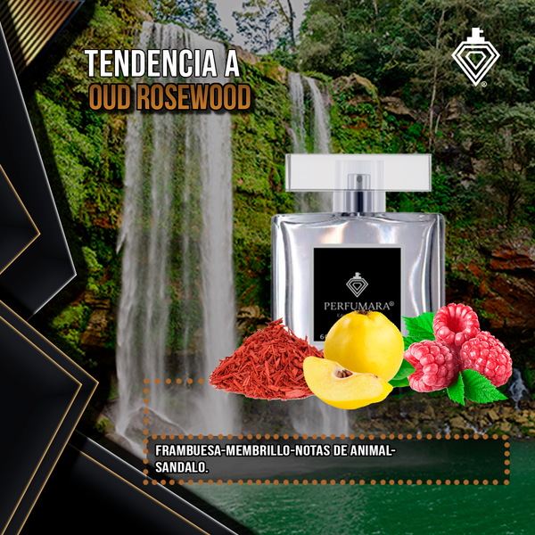 Tendencia a UOud Rosewood