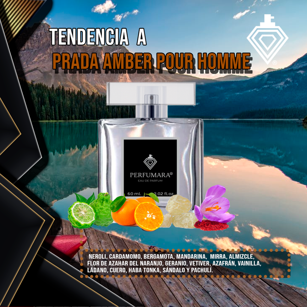 Tendencia a CPrada Amber Pour Homme